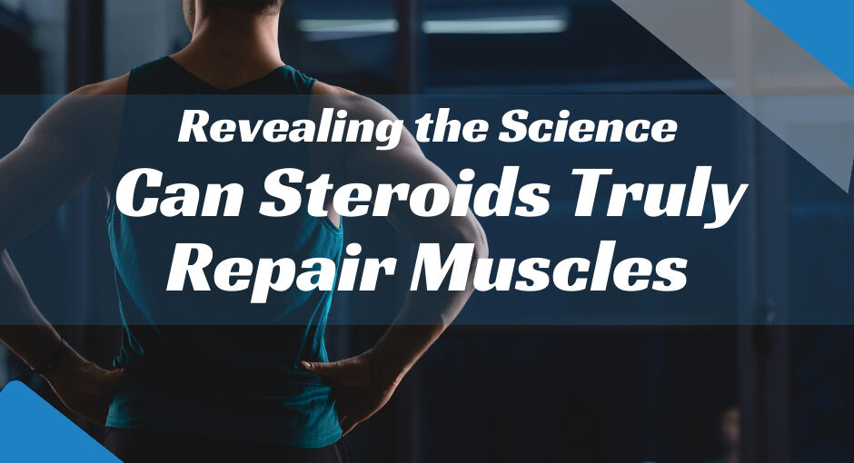 Can Steroids Truly Repair Muscles
