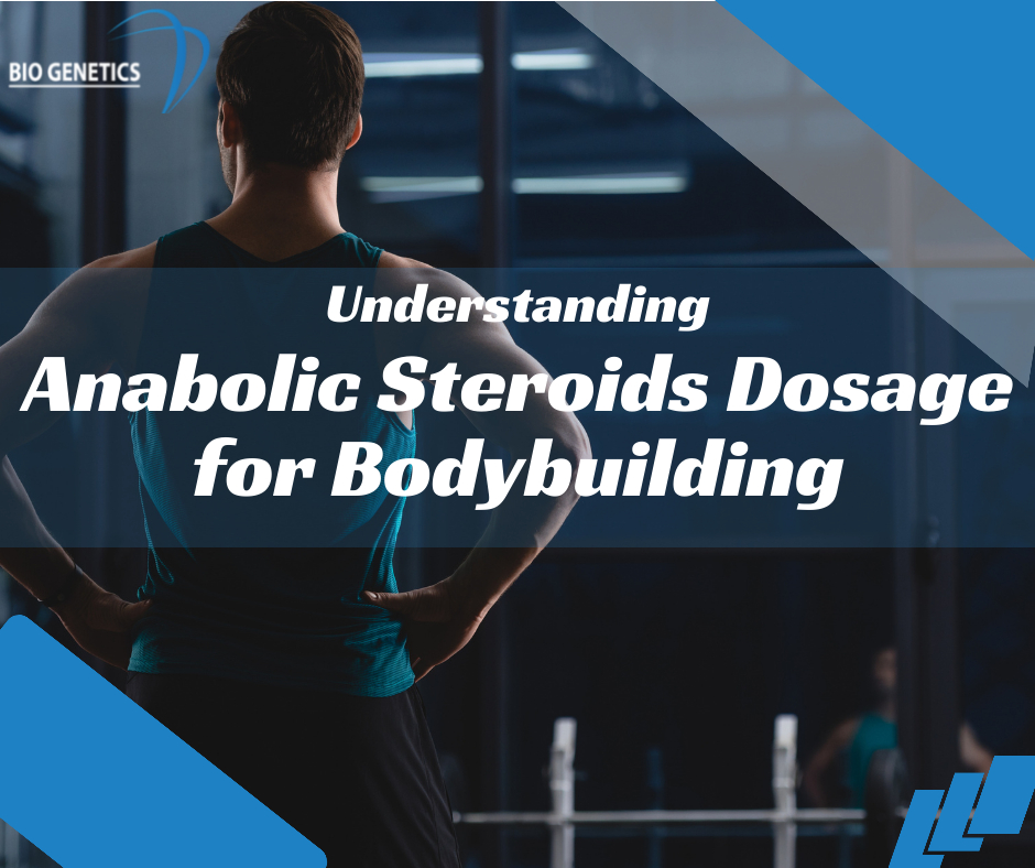Understanding the Anabolic Steroids Dosage for Bodybuilding