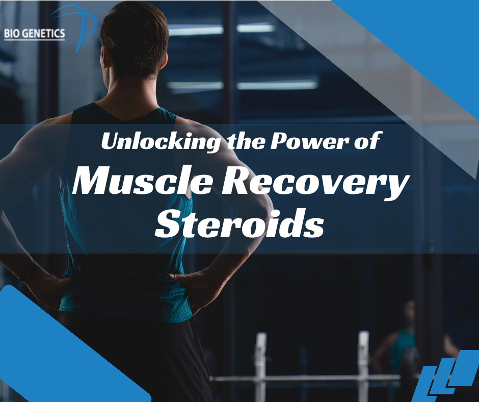 Unlocking the Power of Muscle Recovery Steroids