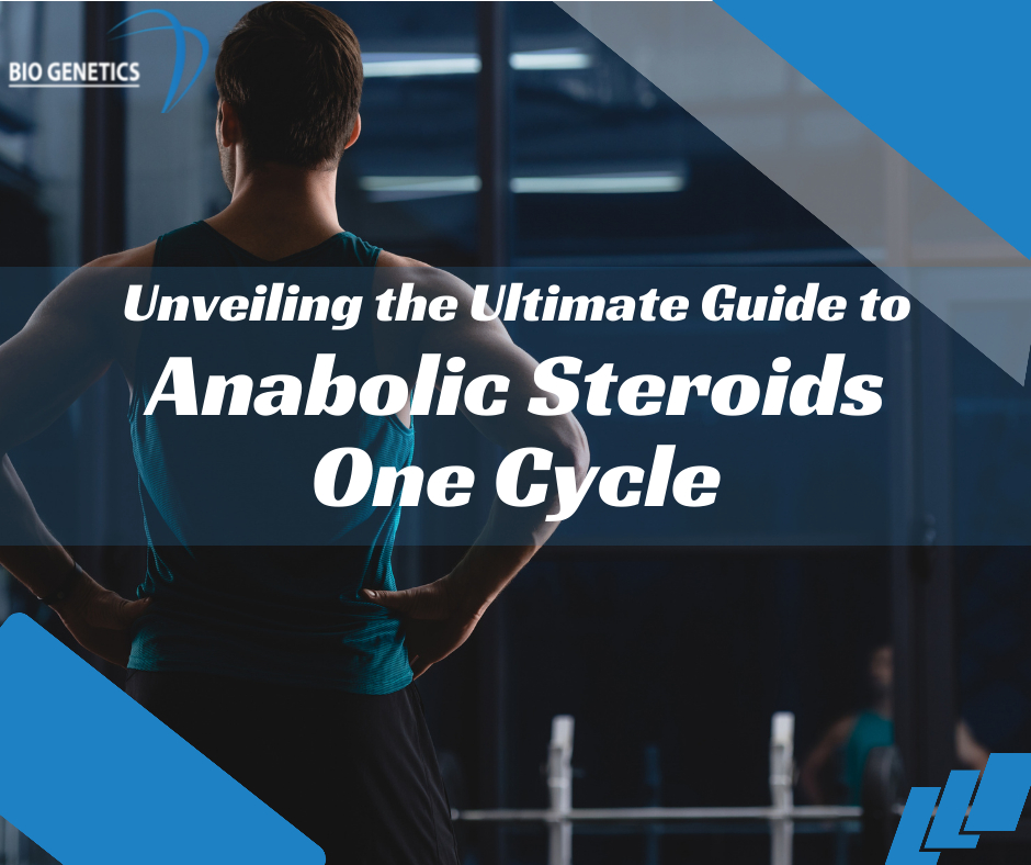 Unveiling the Ultimate Guide to Anabolic Steroid One Cycles
