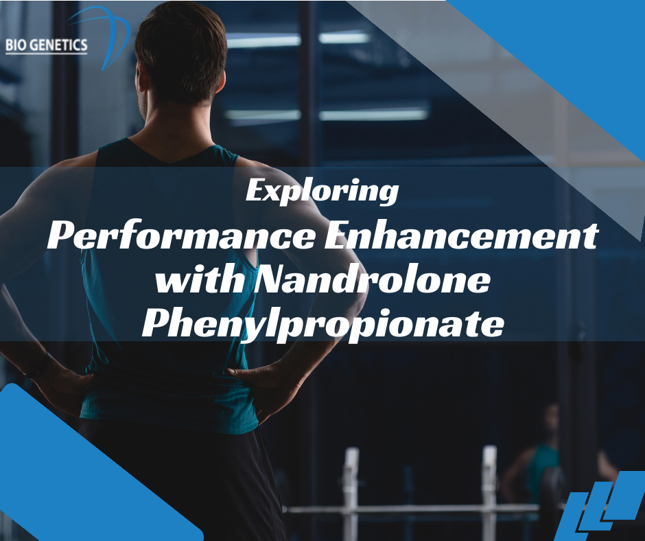 Exploring the Performance Enhancement with Nandrolone Phenylpropionate