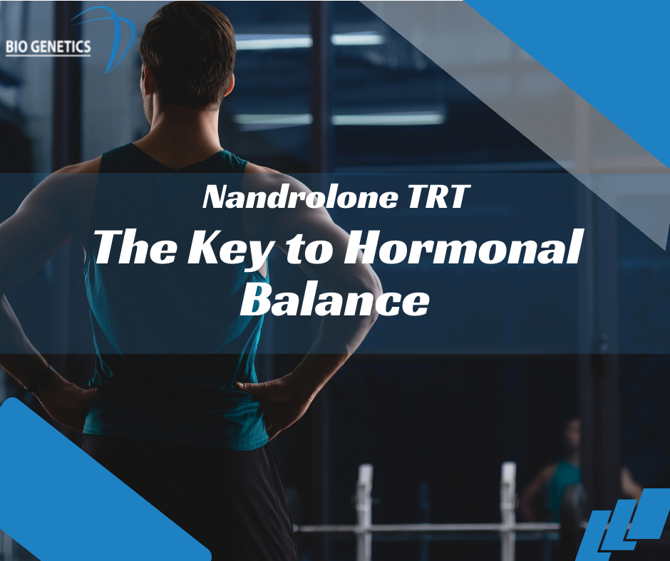 Nandrolone Testosterone: The Key to Hormonal Balance