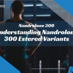Understanding Nandrolone 300 Estered Variants