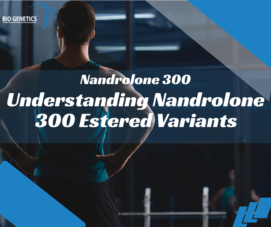 Understanding Nandrolone 300 Estered Variants