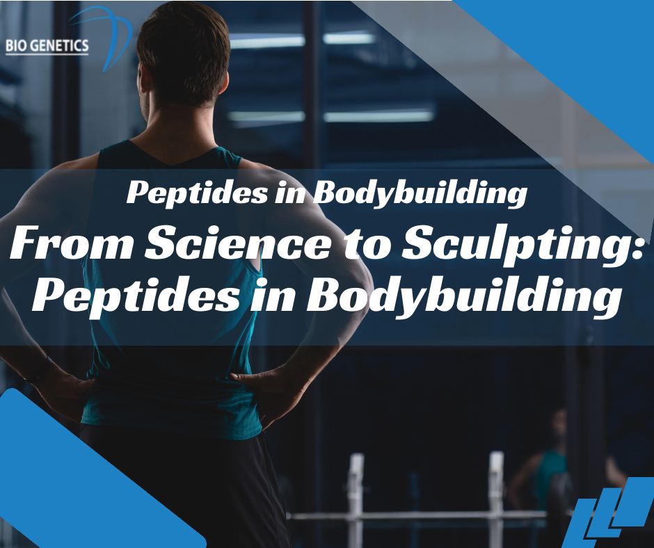 From Science to Sculpting Peptides in Bodybuilding