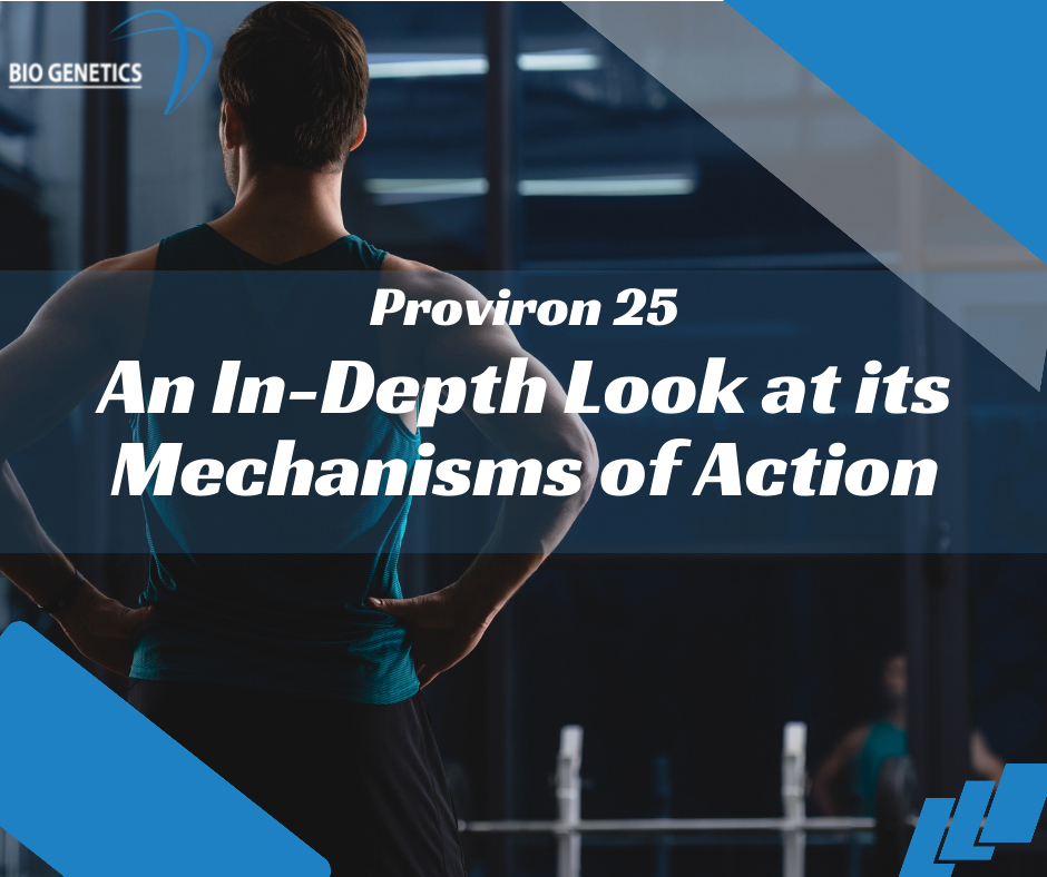 Proviron 25 An In-Depth Look at its Mechanisms of Action