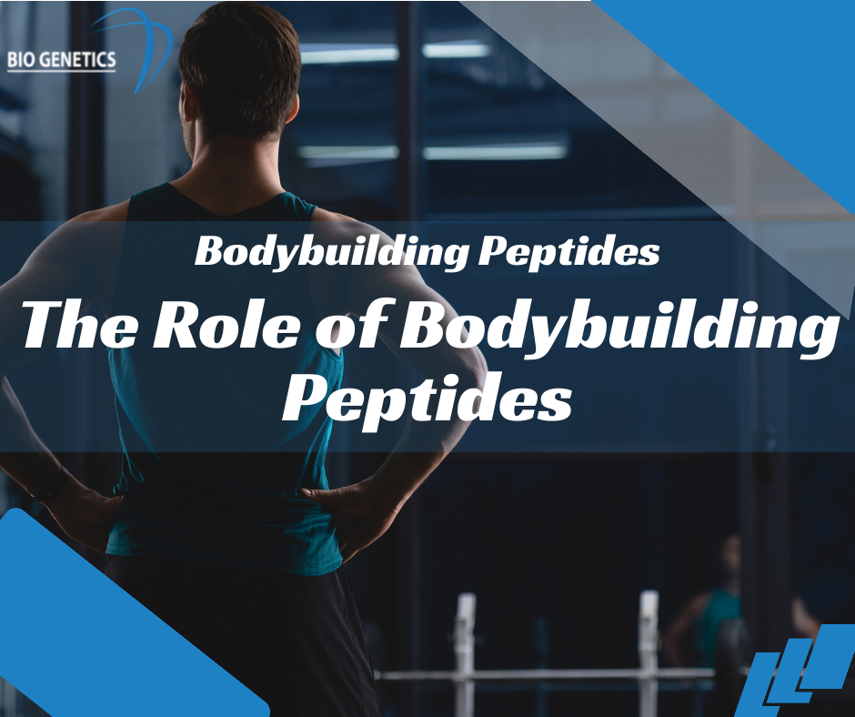 The Role of Bodybuilding Peptides