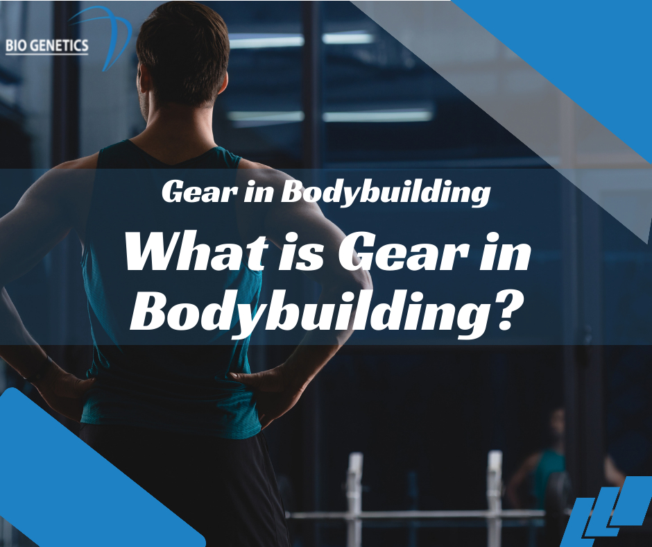 What is Gear in Bodybuilding?