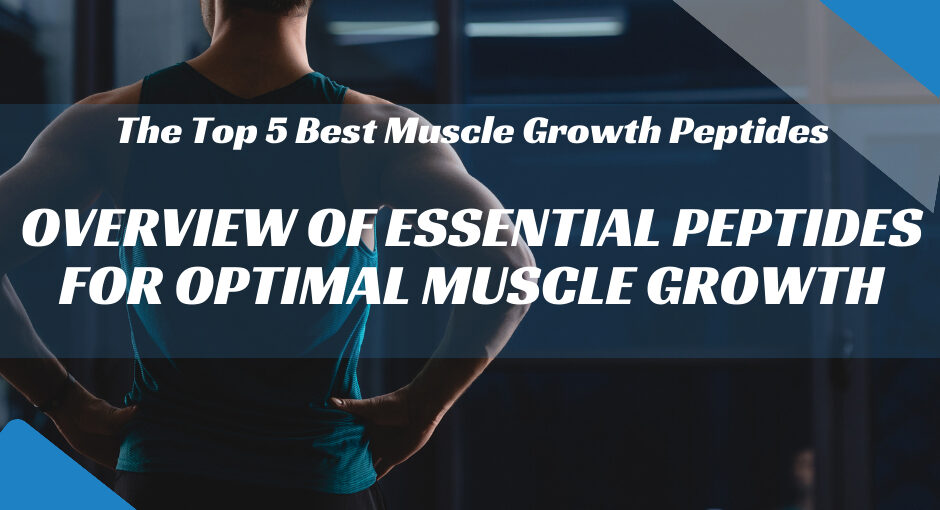 The Top 5 Best Muscle Growth Peptides