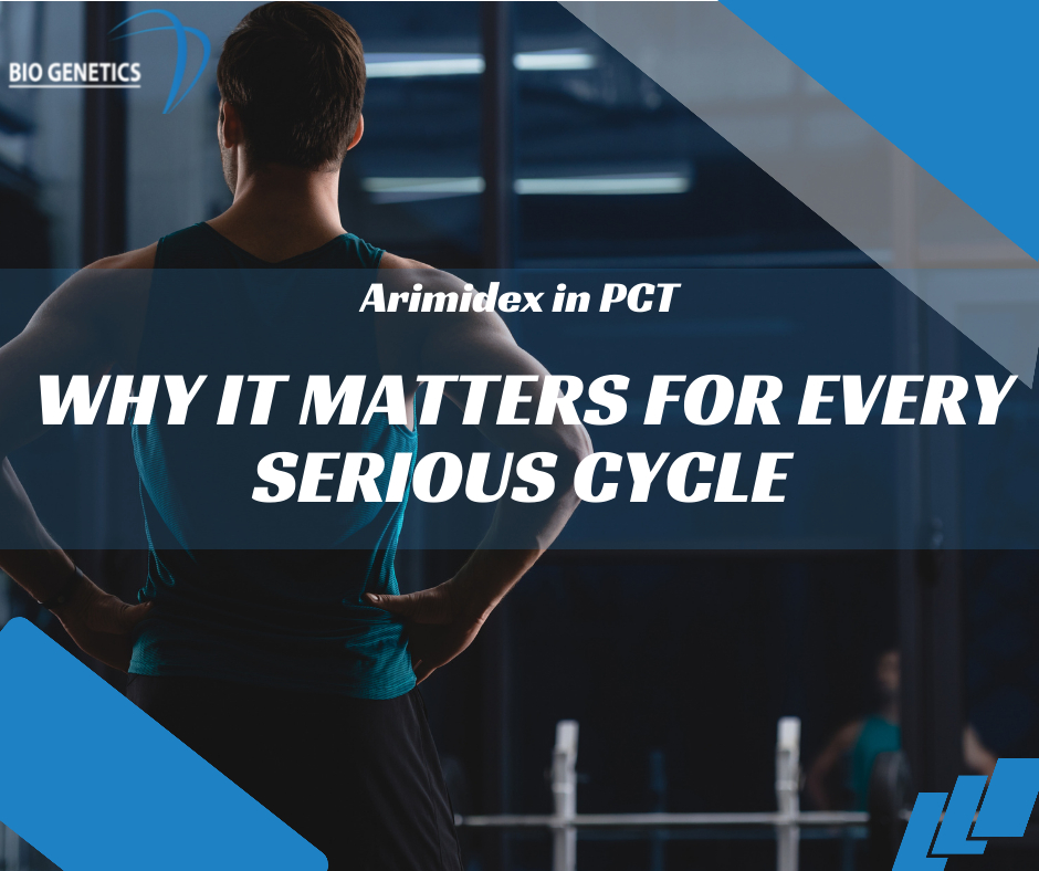 Arimidex in PCT: Why It Matters for Every Serious Cycle