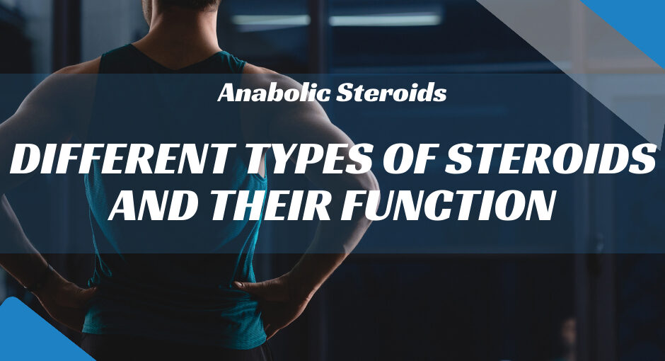 Different Types of Steroids and Their Function