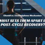 Clomid vs. Enclomiphene Mechanism: What Sets Them Apart in Post-Cycle Recovery?
