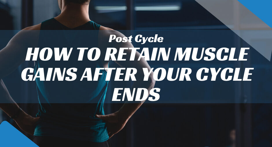 How to Retain Muscle Gains After Your Cycle Ends