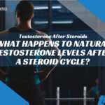 What Happens to Natural Testosterone Levels After a Steroid Cycle?