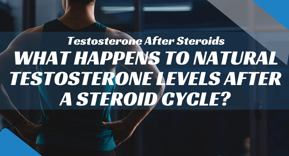 What Happens to Natural Testosterone Levels After a Steroid Cycle?