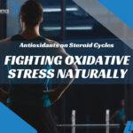 Antioxidants on Steroid Cycles: Fighting Oxidative Stress Naturally