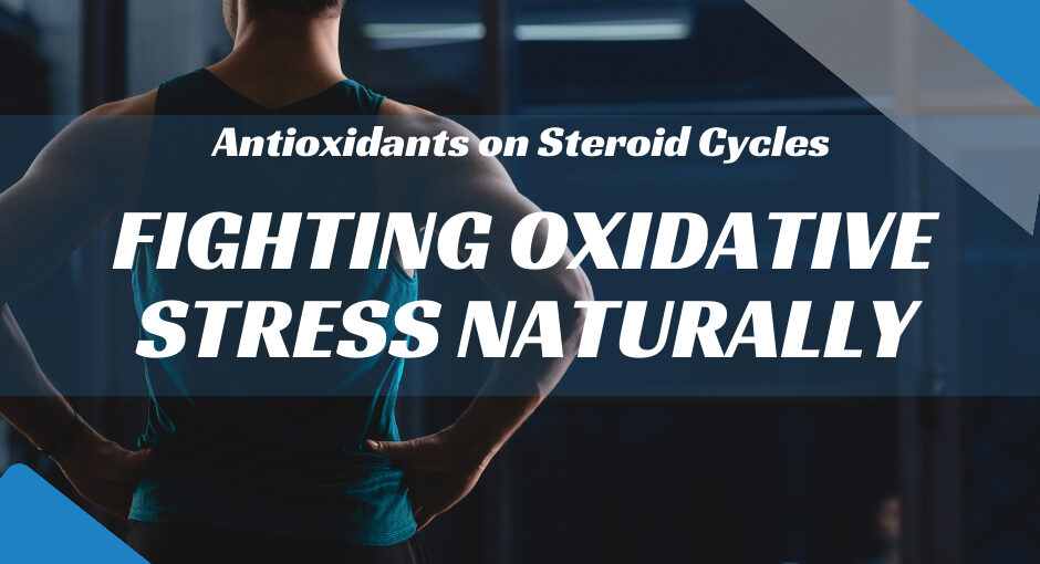 Antioxidants on Steroid Cycles: Fighting Oxidative Stress Naturally