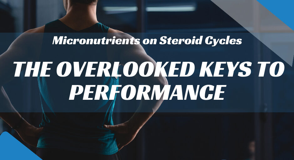 Micronutrients on Steroid Cycle