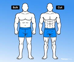 Bulking vs. Cutting: How Stress Patterns Change