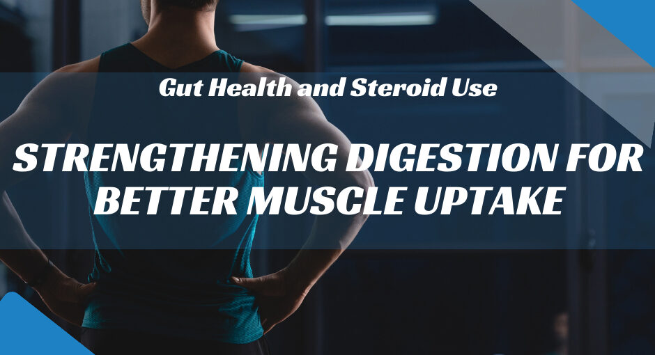 Gut Health and Steroid Use