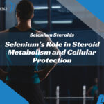 Bio Genetics USA - Selenium Role in Steroid Metabolism and Cellular Protection