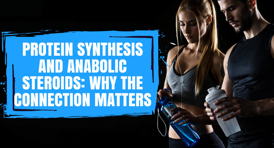 Protein Synthesis and Anabolic Steroids: Why the Connection Matters