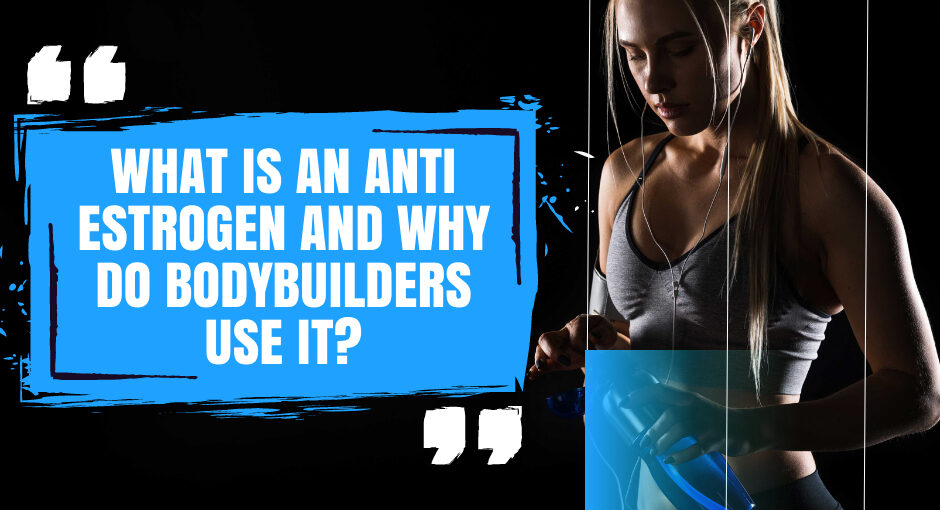 What is an Anti Estrogen and Why Do Bodybuilders Use It?