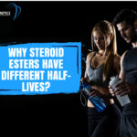 The concept of steroid ester half-life differences is important for understanding why not all anabolic-androgenic steroids behave the same inside the body. Even when two compounds share similar anabolic properties, their duration of action can vary significantly depending on how they are chemically structured.