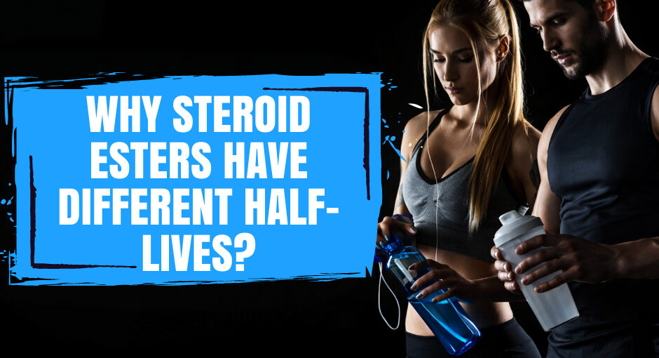 The concept of steroid ester half-life differences is important for understanding why not all anabolic-androgenic steroids behave the same inside the body. Even when two compounds share similar anabolic properties, their duration of action can vary significantly depending on how they are chemically structured.