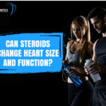 Most discussions of steroids and heart health focus on risk factors such as blood pressure and cholesterol. But research using heart imaging suggests that anabolic-androgenic steroids (AAS) can also affect the heart directly, changing the size of the heart muscle, how well it pumps and relaxes, and the condition of the arteries that supply it.