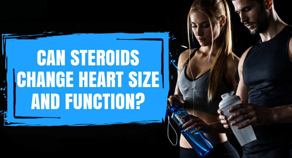 Most discussions of steroids and heart health focus on risk factors such as blood pressure and cholesterol. But research using heart imaging suggests that anabolic-androgenic steroids (AAS) can also affect the heart directly, changing the size of the heart muscle, how well it pumps and relaxes, and the condition of the arteries that supply it.