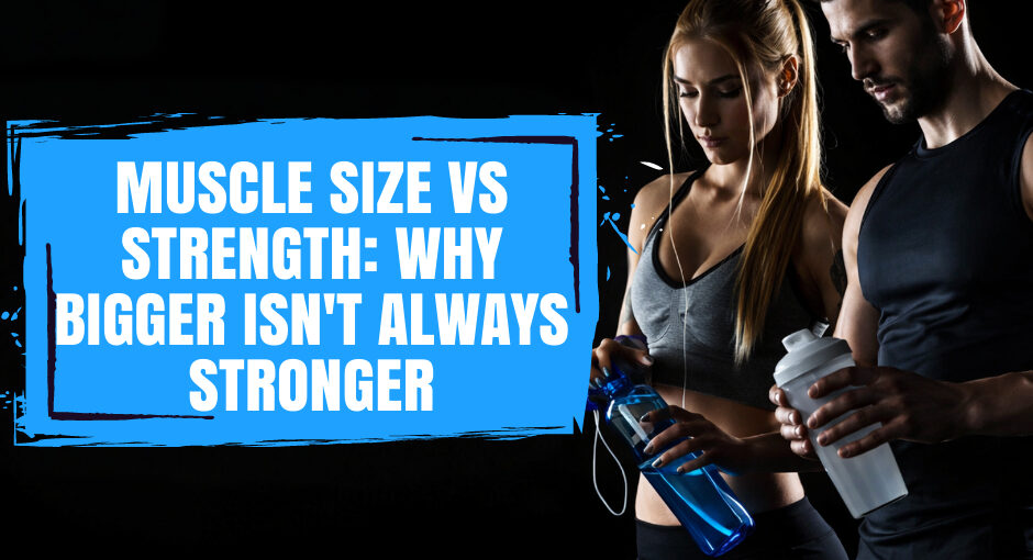 Many lifters notice that their muscles keep growing while their lifts stall, or that someone visibly smaller can outlift someone more muscular. The question of muscle size vs strength comes down to one central point: muscle size is one determinant of strength, but it is not the only one.